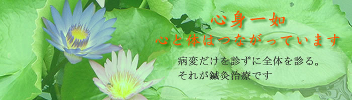 心身一如 心と体はつながっています 病変だけを診ずに全体を診る。それが鍼灸治療です